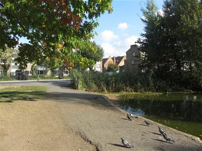 Picture 5